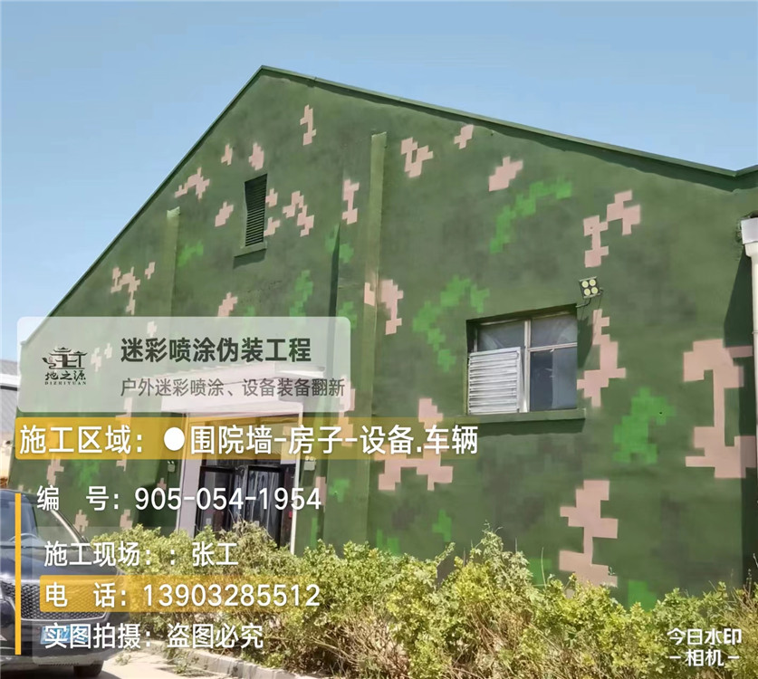 三亚外墙数码迷彩漆施工报价清单（100㎡标准墙面测算）